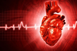 foto 15160615 Hart en ECG-2025-12-04-2.JPG